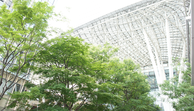 大发9081娱乐 Sサイズのカップにはチェルシーの箱のデザインを採用するという